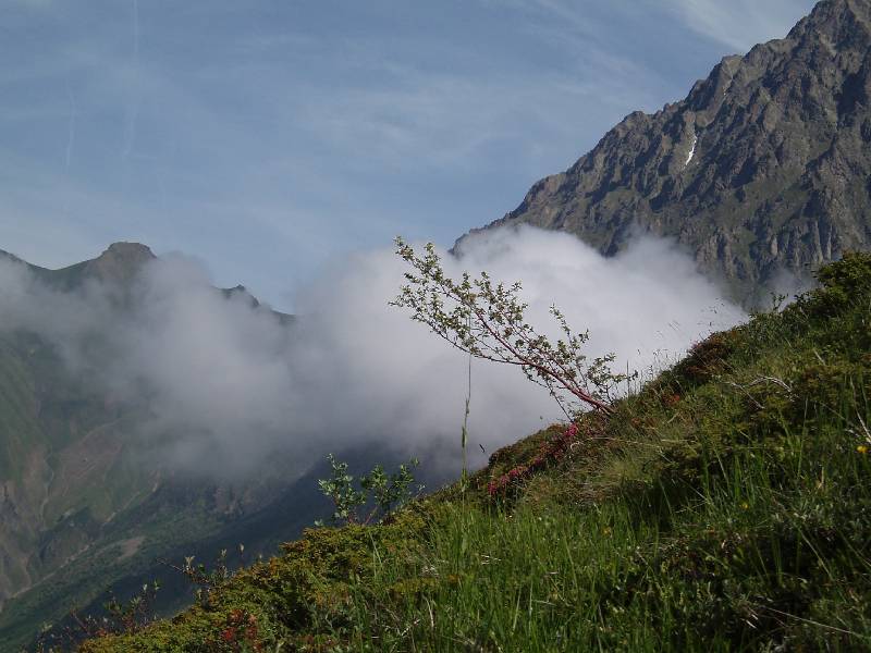 Youri - Ecrins 2005 338 